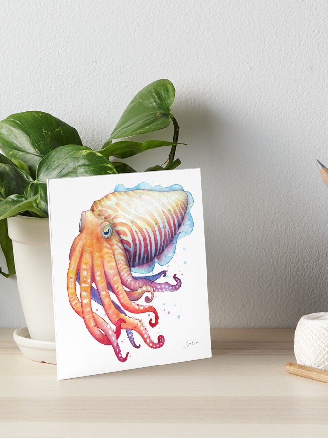 Thumbnail 1 of 2, Art Board Print, Cuttlefish designed and sold by SamNagel.