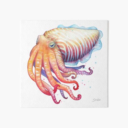 Cuttlefish Art Board Print