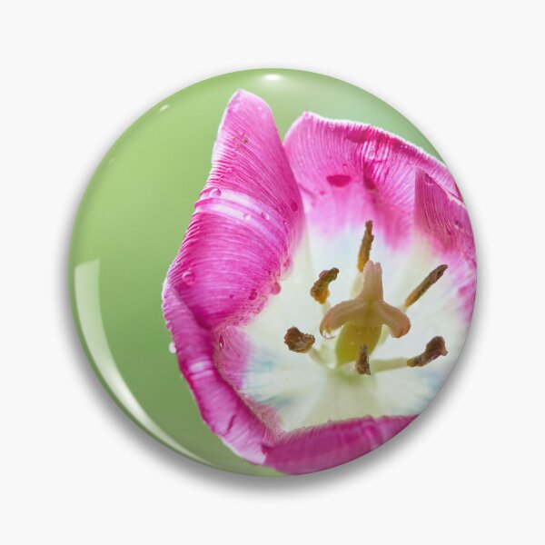 Item preview, Flover Tulip designed and sold by IgorKovalenko.