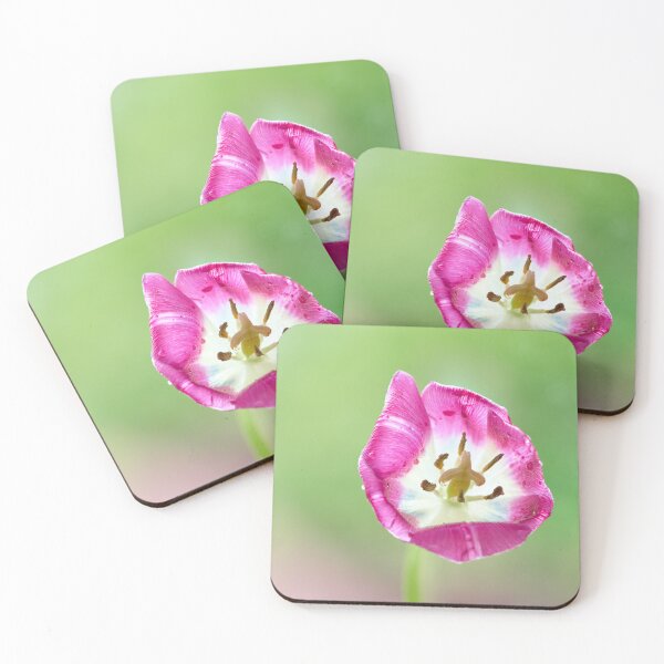 Item preview, Flover Tulip designed and sold by IgorKovalenko.