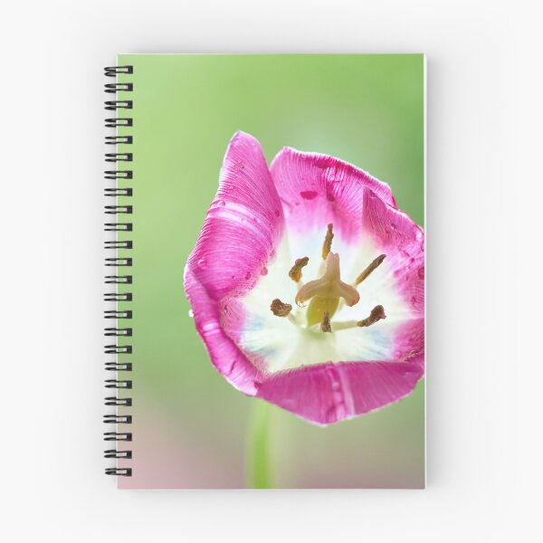 Item preview, Flover Tulip designed and sold by IgorKovalenko.