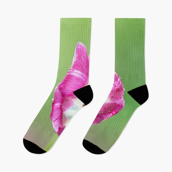 Item preview, Flover Tulip designed and sold by IgorKovalenko.