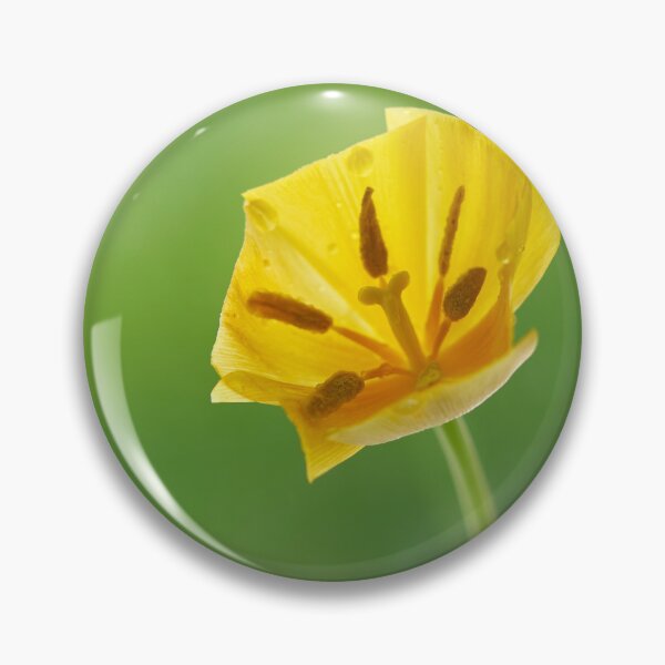 Item preview, Flover Tulip designed and sold by IgorKovalenko.