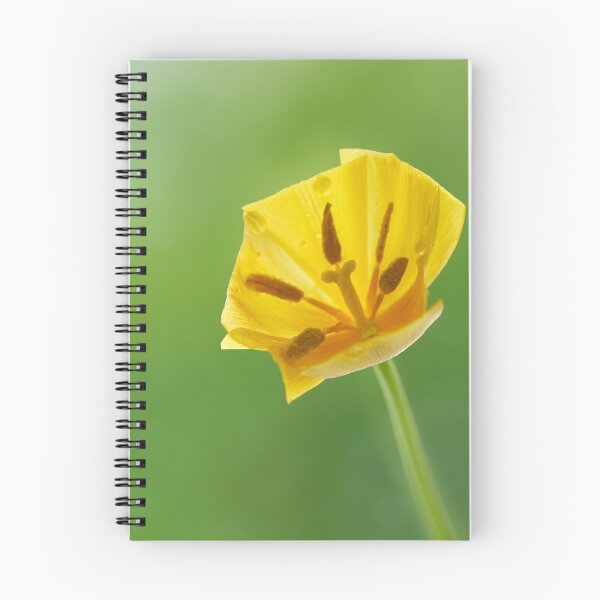 Item preview, Flover Tulip designed and sold by IgorKovalenko.