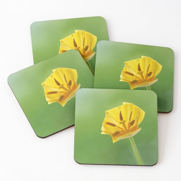 Item preview, Flover Tulip designed and sold by IgorKovalenko.
