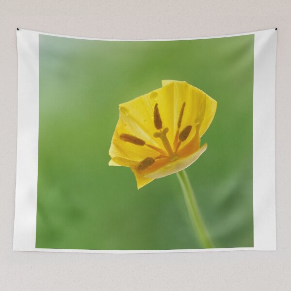 Item preview, Flover Tulip designed and sold by IgorKovalenko.