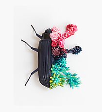 Beetle and Flowers, Surrealistic Art Photographic Print