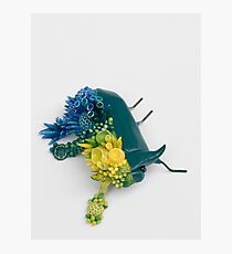 Teal Beetle and Corals in Seaside Colors Photographic Print