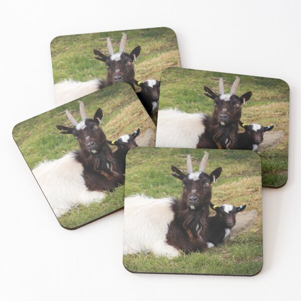 Item preview, Bagot Goat designed and sold by JEZ22.