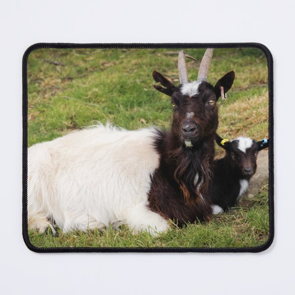 Item preview, Bagot Goat designed and sold by JEZ22.