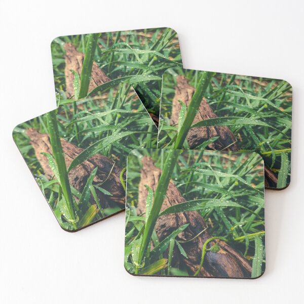 Item preview, Pasto y agua designed and sold by Boreal11 .
