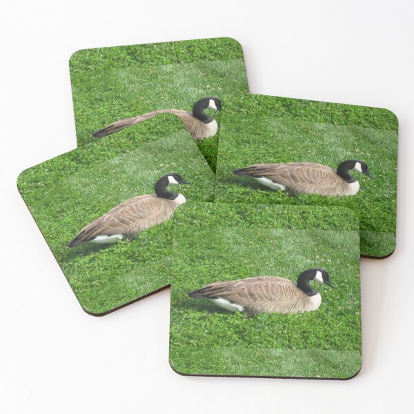 Item preview, Branta Canadensis goose on Green Grass and Clover designed and sold by JoyousArt4u.