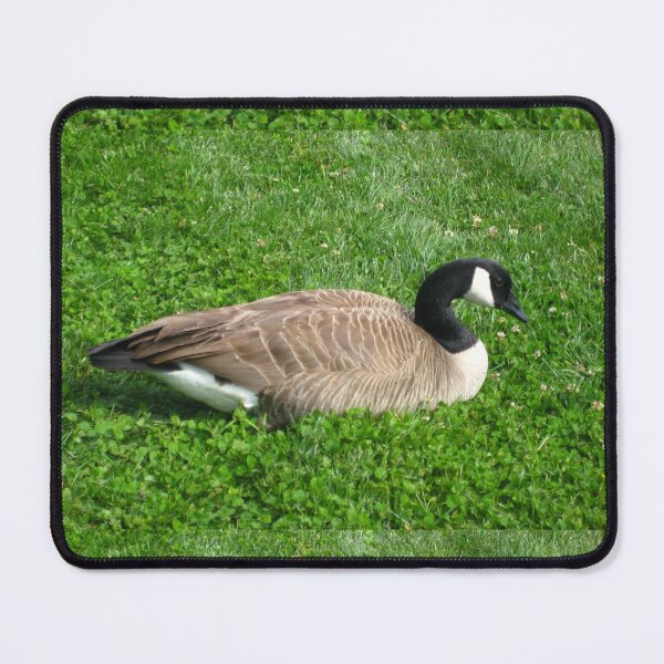 Item preview, Branta Canadensis goose on Green Grass and Clover designed and sold by JoyousArt4u.