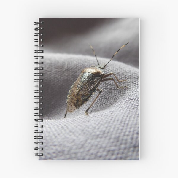 Item preview, Grey garden bug in the house on a grey gently curved fabric | feature bug designed and sold by sopfanna.
