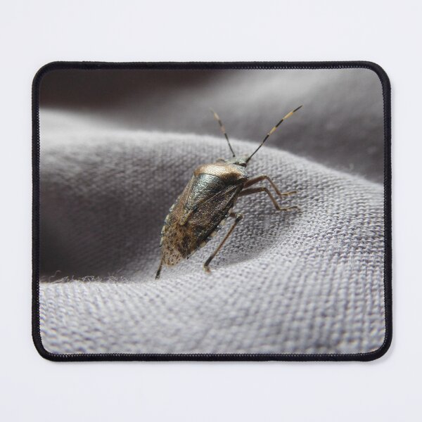 Item preview, Grey garden bug in the house on a grey gently curved fabric | feature bug designed and sold by sopfanna.