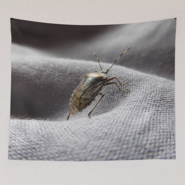Item preview, Grey garden bug in the house on a grey gently curved fabric | feature bug designed and sold by sopfanna.