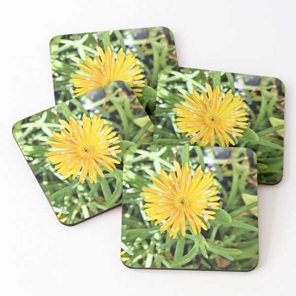 Item preview, golden star front the plant inontonyadis garden designed and sold by sadeek1021953Ss.