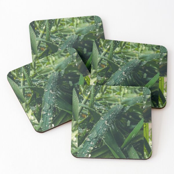 Item preview, Pasto verde designed and sold by Boreal11 .