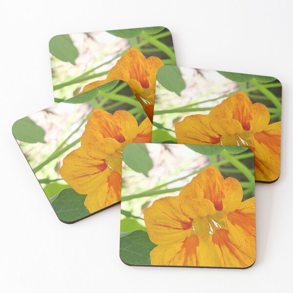 Item preview, yellow flower from montazah park designed and sold by sadeek1021953Ss.