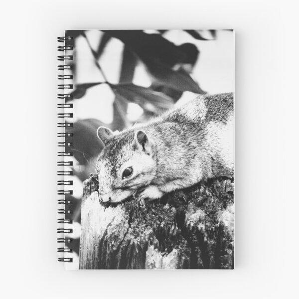 Item preview, Fox Squirrel Pole Watch designed and sold by chazlove.