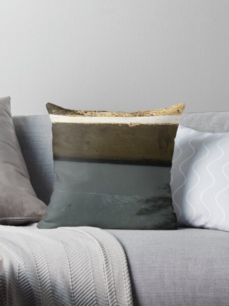 dark lake Throw Pillow