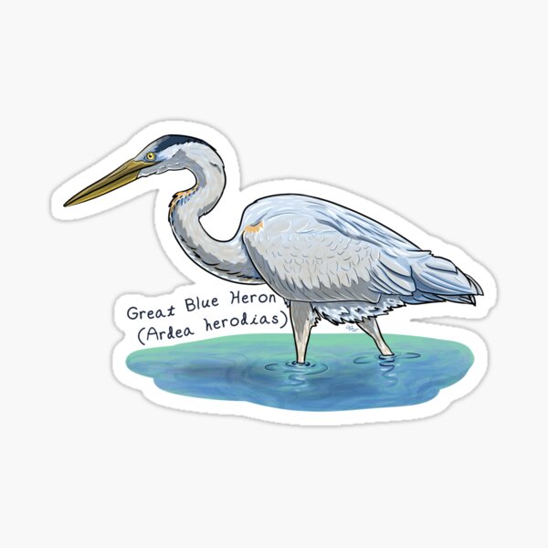 Item preview, Great Blue Heron Wading by Woodsmith designed and sold by SJWoodsmith.
