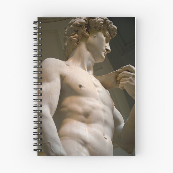 Item preview, Europe - Florence, Accademia Gallery, David, Michelangelo designed and sold by Natasha Cusmanich.