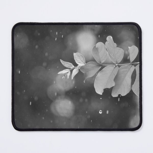 Item preview, Rain drops on a small branch designed and sold by FoxGlove5.