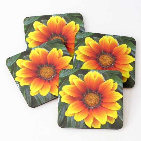 Item preview, Fireburst Gazania in Vibrant Orange and Yellow with Green Leaves designed and sold by JoyousArt4u.