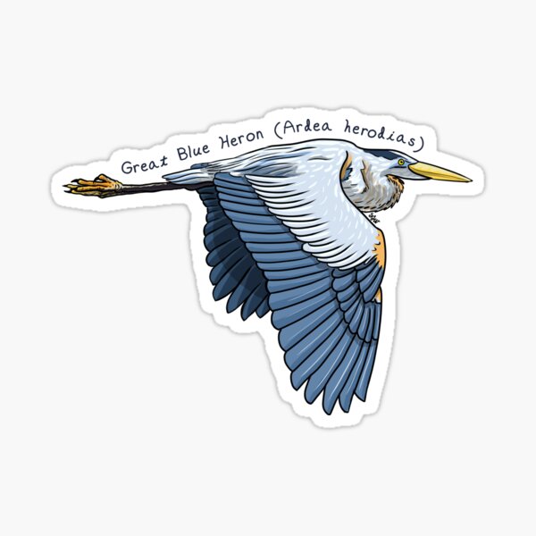 Item preview, Great Blue Heron Flying by Woodsmith designed and sold by SJWoodsmith.
