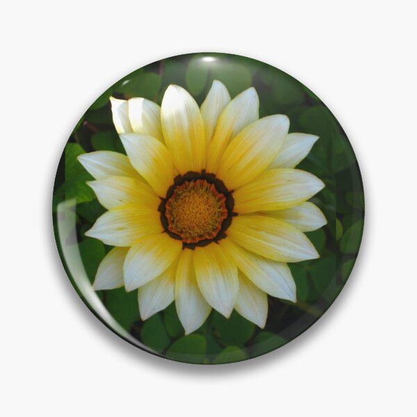 Item preview, Gazania Soft Color Burst in Yellow with White Tips and a Darker Center designed and sold by JoyousArt4u.