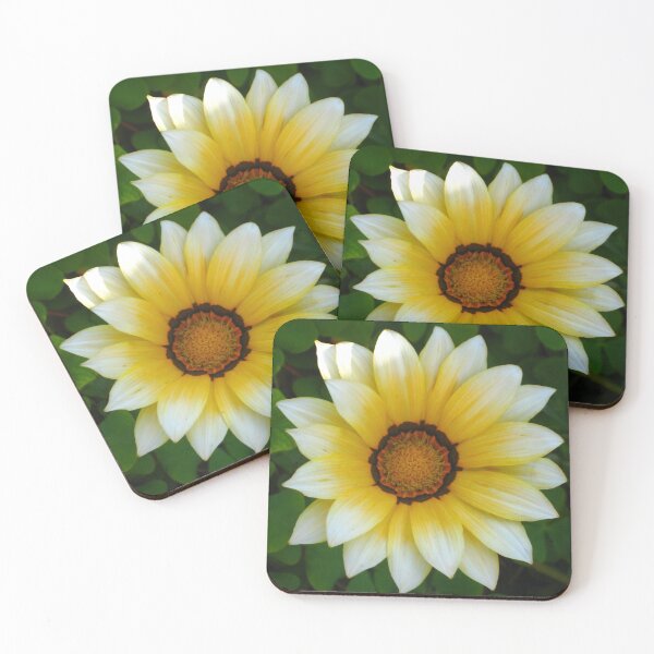 Item preview, Gazania Soft Color Burst in Yellow with White Tips and a Darker Center designed and sold by JoyousArt4u.