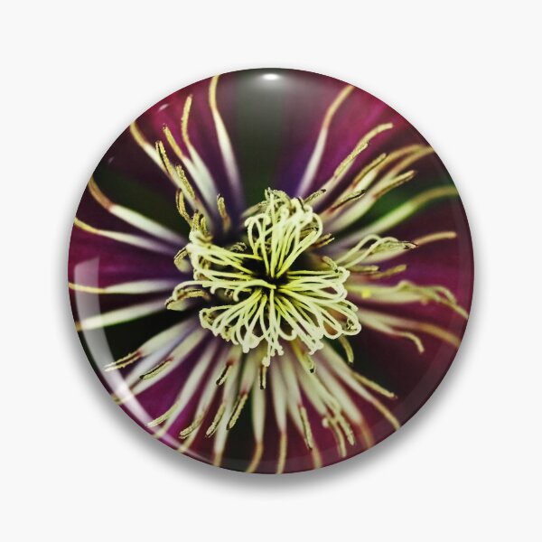 Item preview, Deep Claret Red Clematis designed and sold by Deb Oppermann.