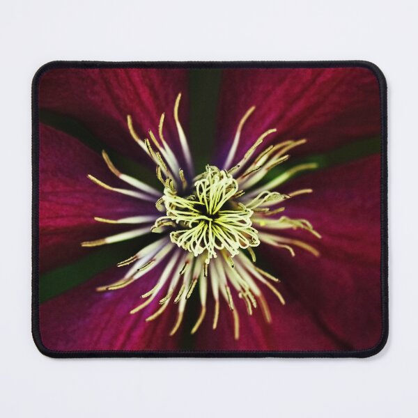 Item preview, Deep Claret Red Clematis designed and sold by Deb Oppermann.
