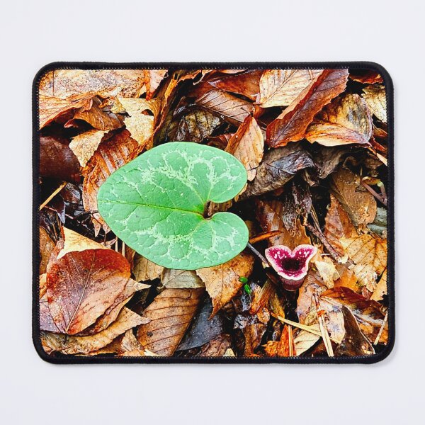 Item preview, Hidden Flower designed and sold by GamerKingJosh.