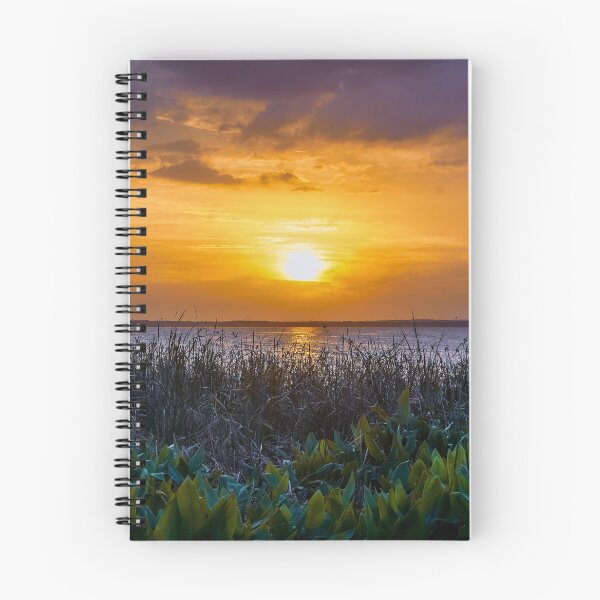 Item preview, Natures Masterpiece Unfolds designed and sold by Susan Rydberg.