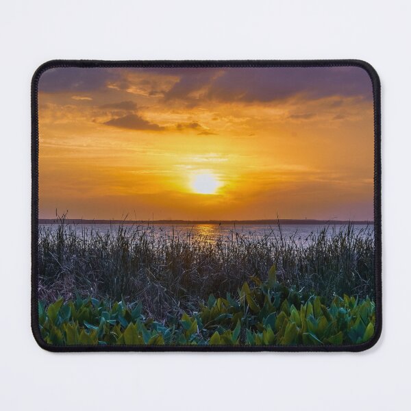 Item preview, Natures Masterpiece Unfolds designed and sold by Susan Rydberg.