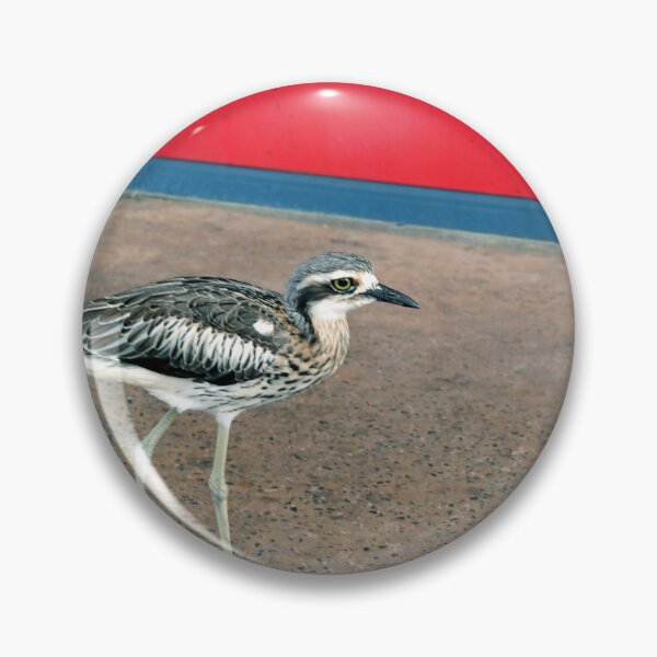 Item preview, Bush Stone-curlew On North Stradbroke Island. Brisbane, Australia. designed and sold by Ralph de Zilva.