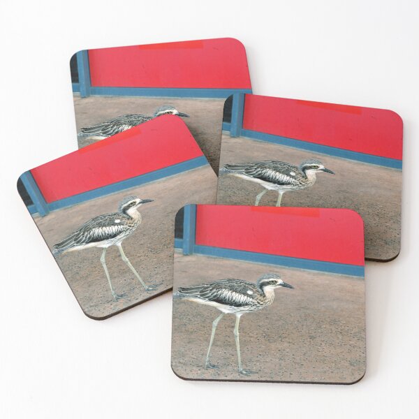 Item preview, Bush Stone-curlew On North Stradbroke Island. Brisbane, Australia. designed and sold by Ralph de Zilva.