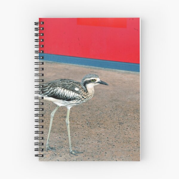 Item preview, Bush Stone-curlew On North Stradbroke Island. Brisbane, Australia. designed and sold by Ralph de Zilva.