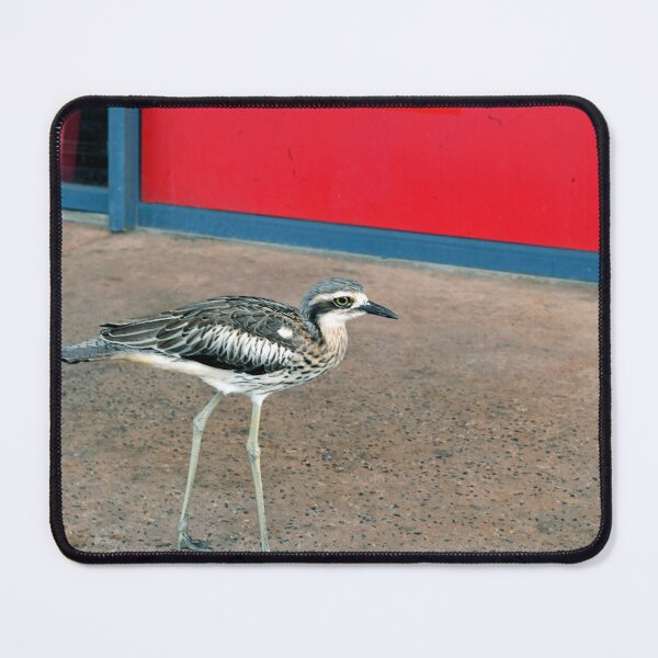 Item preview, Bush Stone-curlew On North Stradbroke Island. Brisbane, Australia. designed and sold by Ralph de Zilva.