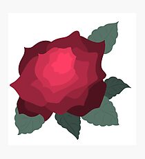 Simple Yet Lovely Rose Photographic Print