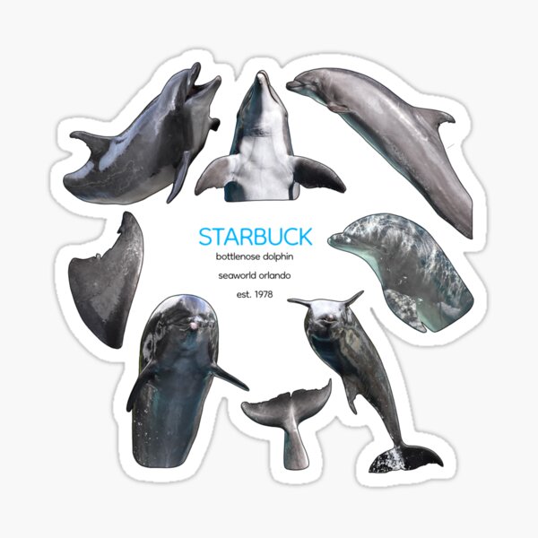 Artikel-Vorschau von Starbucks-Delfin, designt und verkauft von tidaldreams.