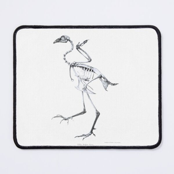 Item preview, bird bones designed and sold by prucanada.