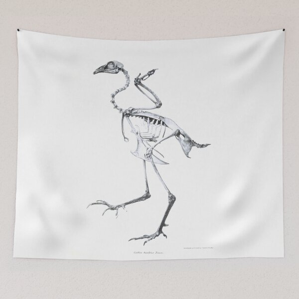 Item preview, bird bones designed and sold by prucanada.