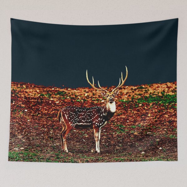Item preview, Axis Deer designed and sold by ontological.
