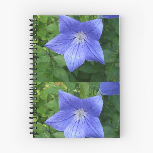 Item preview, Blue Star of Day designed and sold by Mui-Ling Teh.