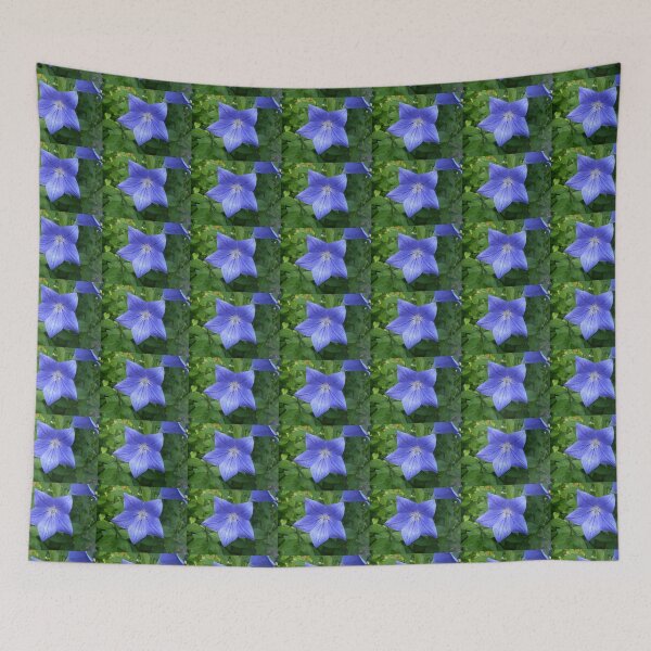 Item preview, Blue Star of Day designed and sold by Mui-Ling Teh.