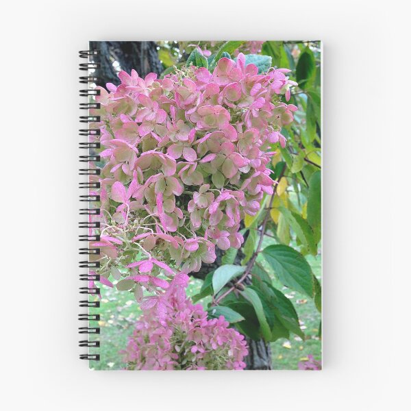 Item preview, Pink Hygrangea designed and sold by Rachel Imsland.