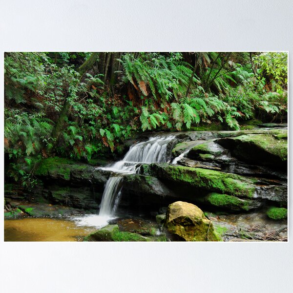 Item preview, Leura Cascade NSW Australia designed and sold by Bev Woodman.